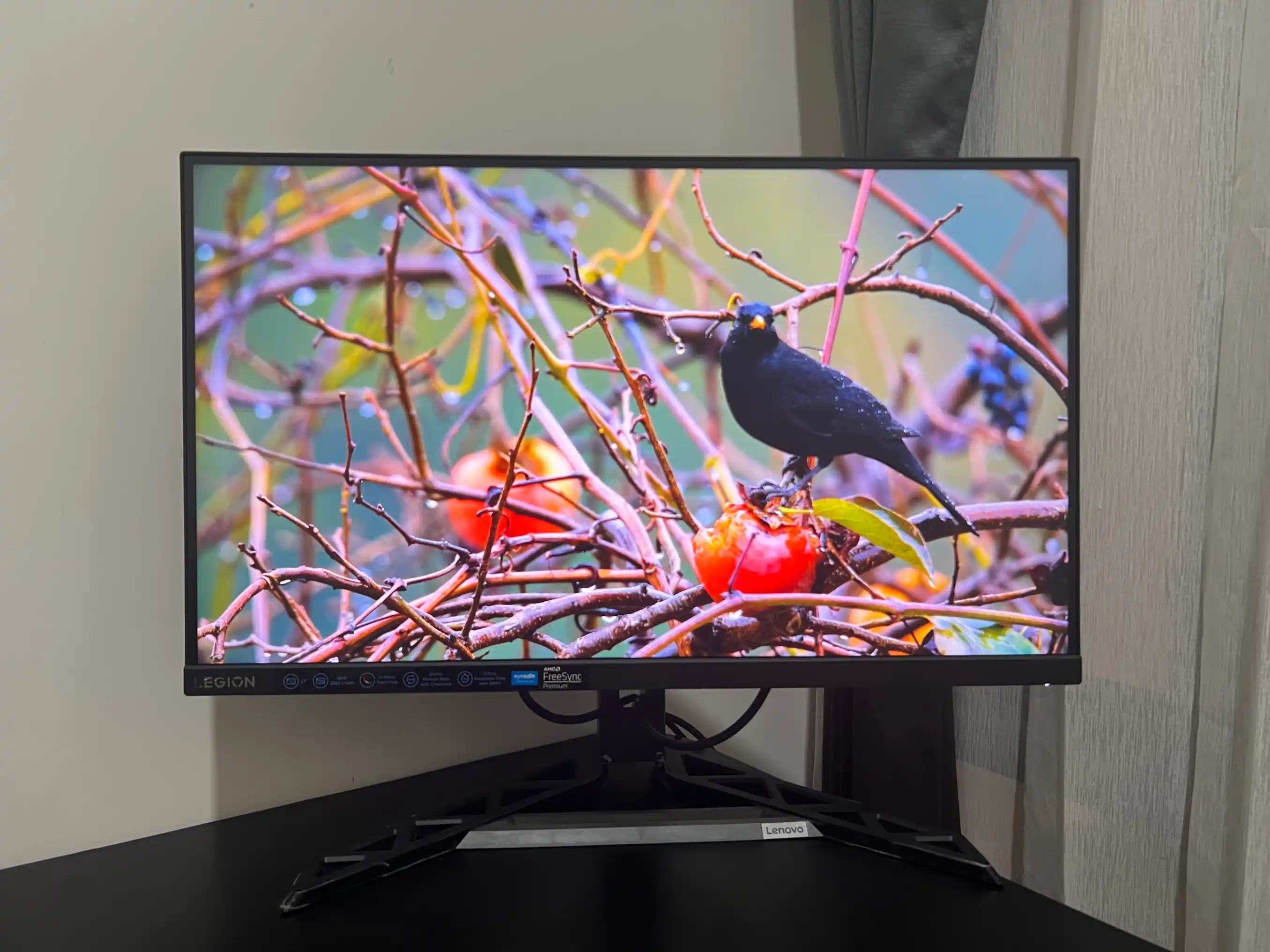 Lenovo Legion Y27QF-30 240hz 1