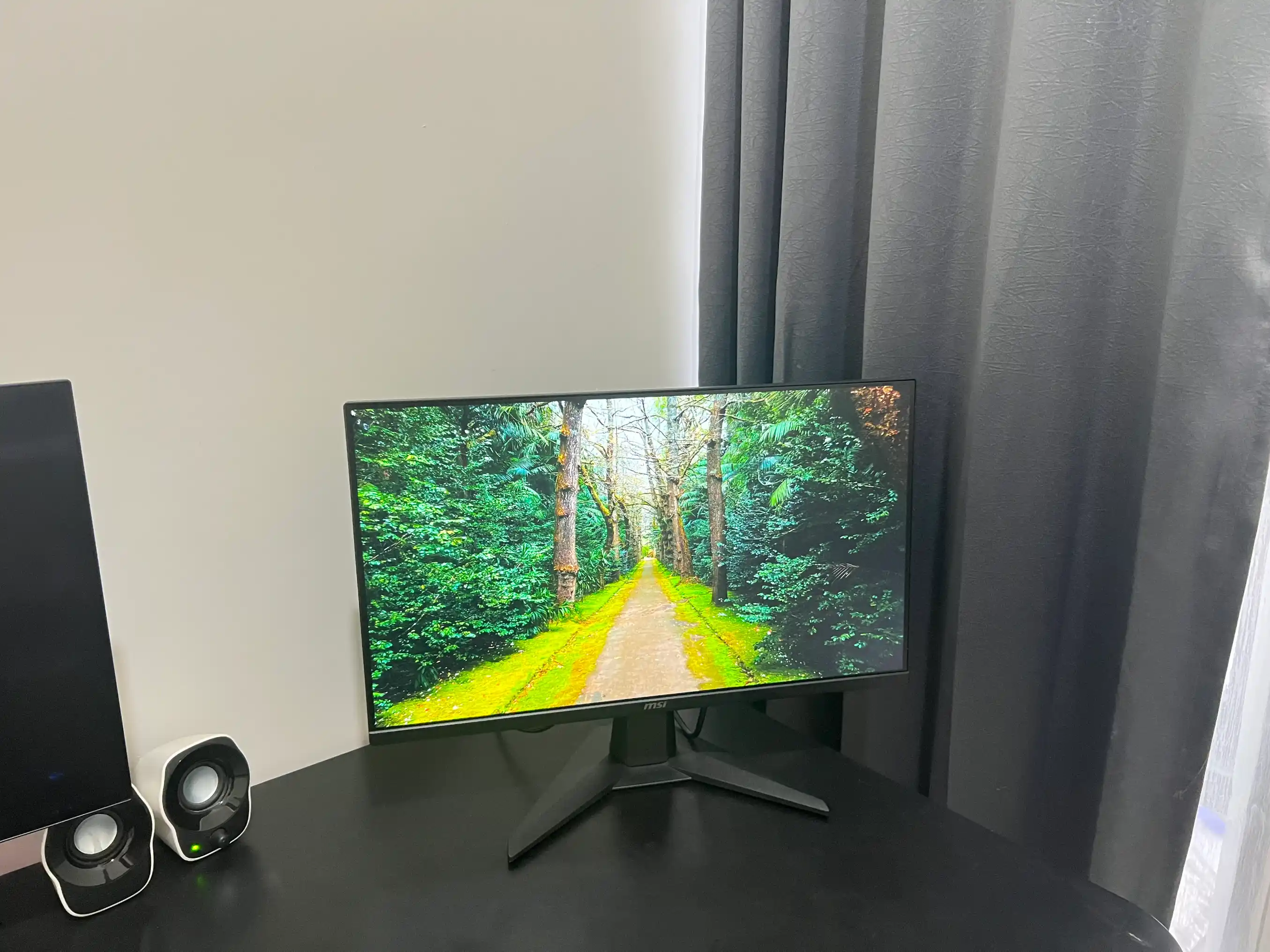 MSI MAG 255F 200hz