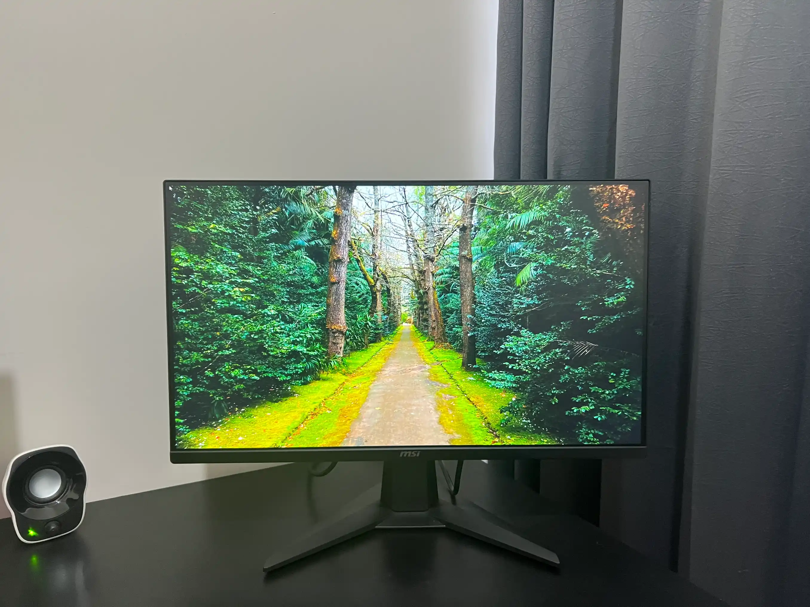 MSI MAG 255F 200hz 1