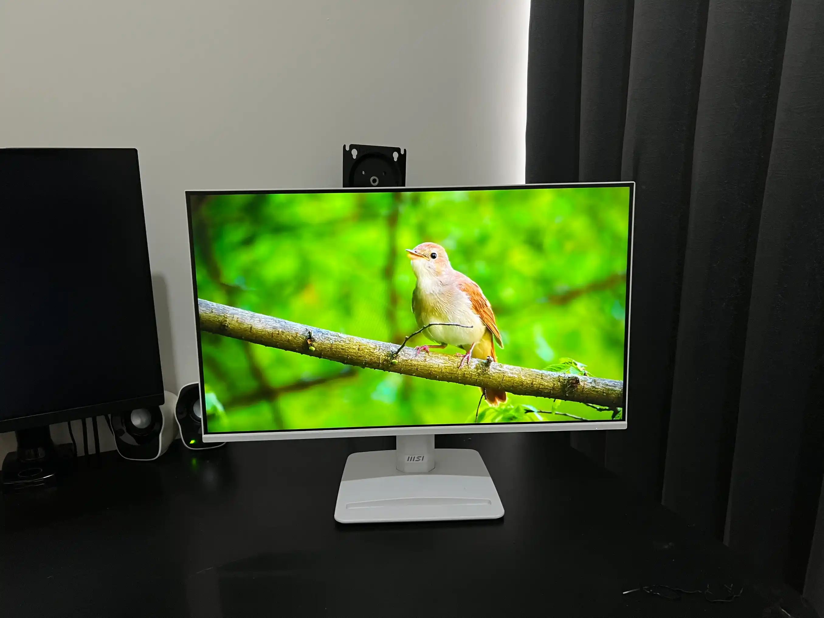 MSI Pro MP251W E2 2
